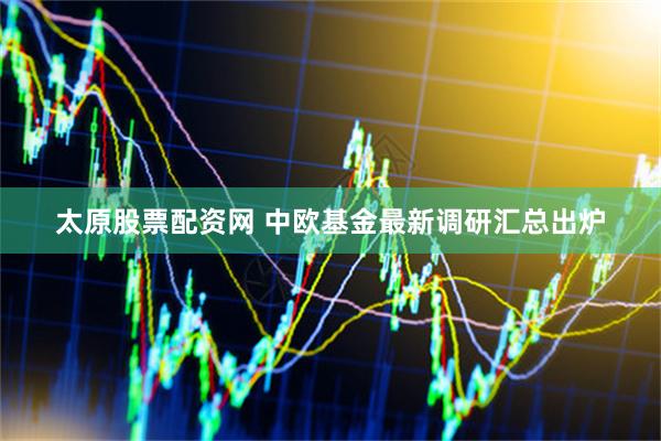太原股票配资网 中欧基金最新调研汇总出炉