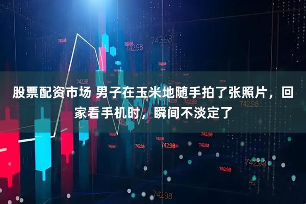 股票配资市场 男子在玉米地随手拍了张照片，回家看手机时，瞬间不淡定了