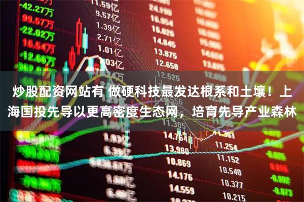 炒股配资网站有 做硬科技最发达根系和土壤！上海国投先导以更高密度生态网，培育先导产业森林